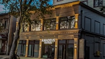 A modern building with a stylish facade features large windows and is identified by a sign that reads 'Amadeus Textiles'. The structure is illuminated by warm lights, adding an inviting glow. A tree partially obstructs the view, adding a touch of nature to the urban setting.