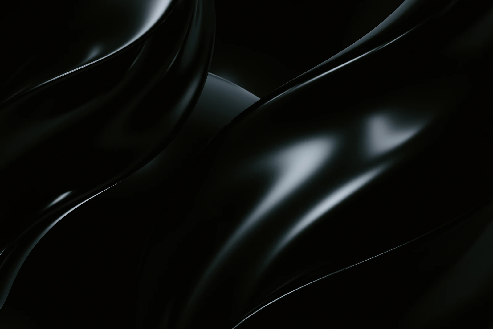 A dark fluid form catching one edge of light — motion, held still.