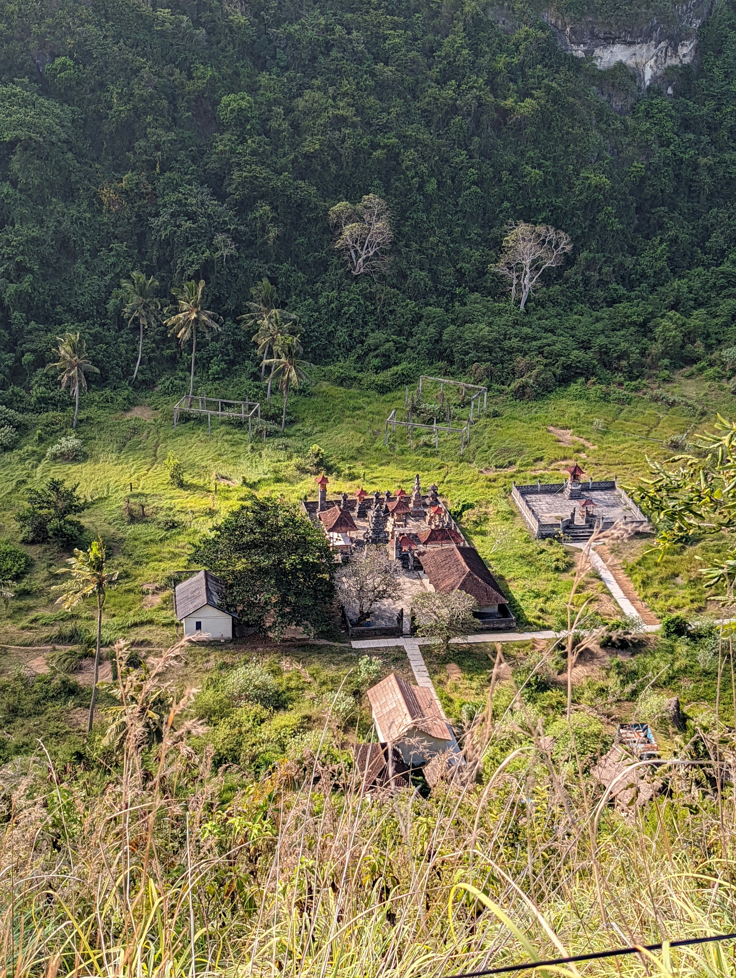 sekelompok orang berdiri di atas lereng bukit hijau subur
