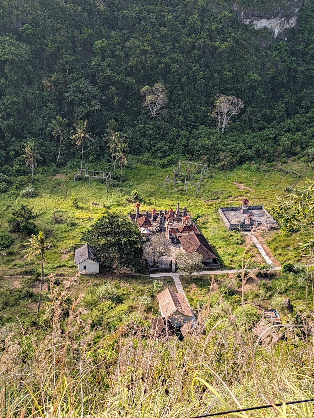 a group of people standing on top of a lush green hillside