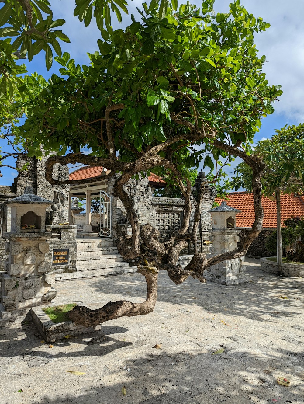 a tree that is next to a building