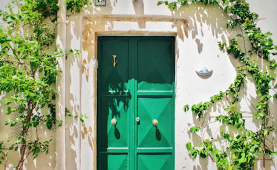 A vibrant modern front door painted in bold colors, surrounded by greenery.