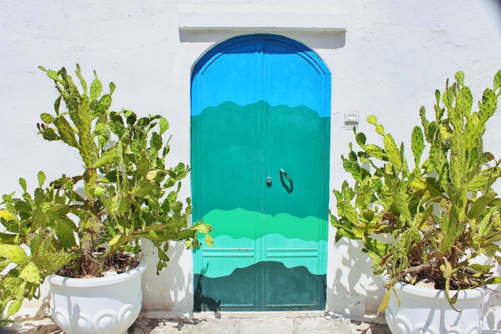 a green door with a blue door surrounded by potted plants