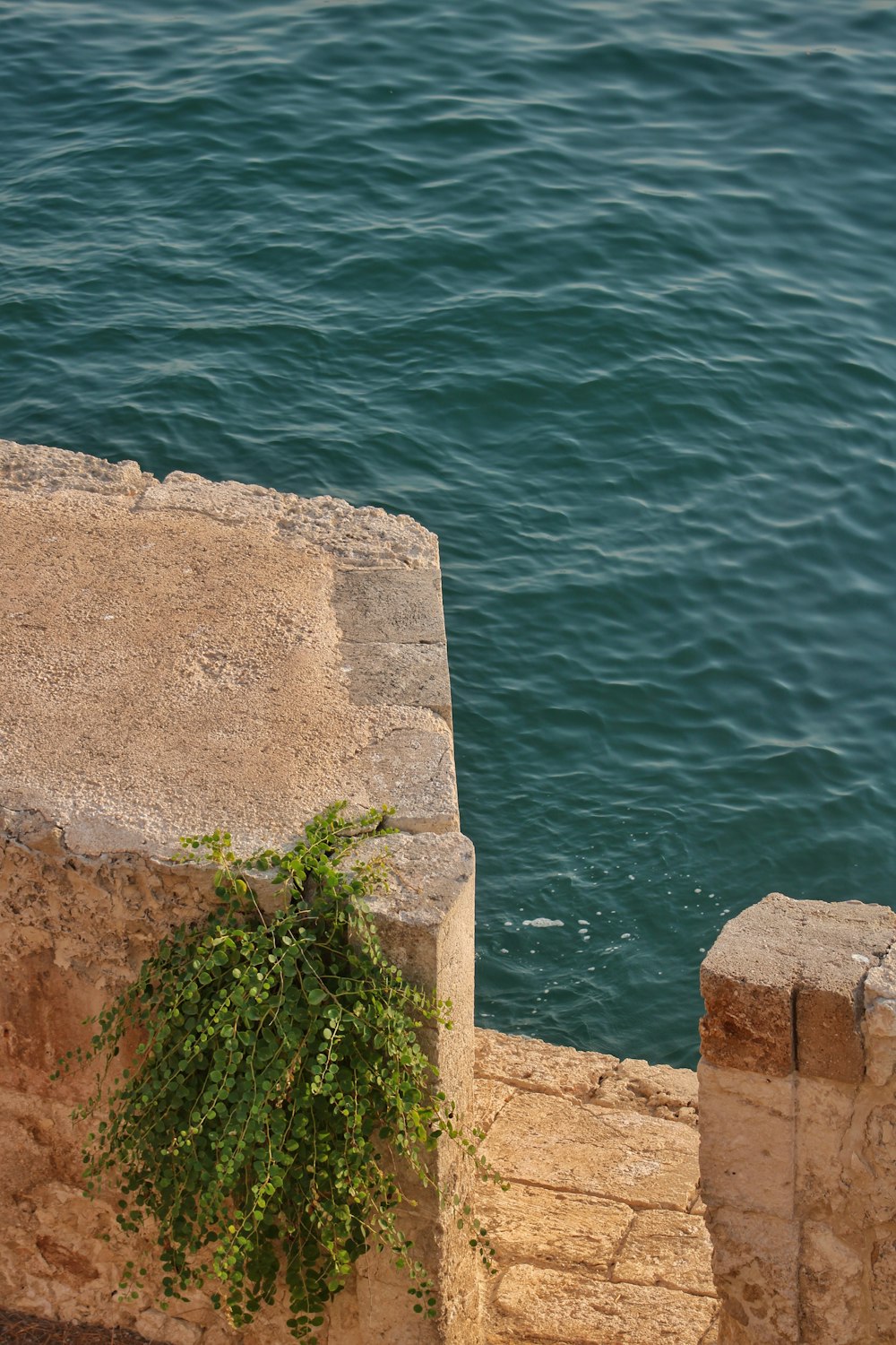 a bird sitting on a ledge next to a body of water