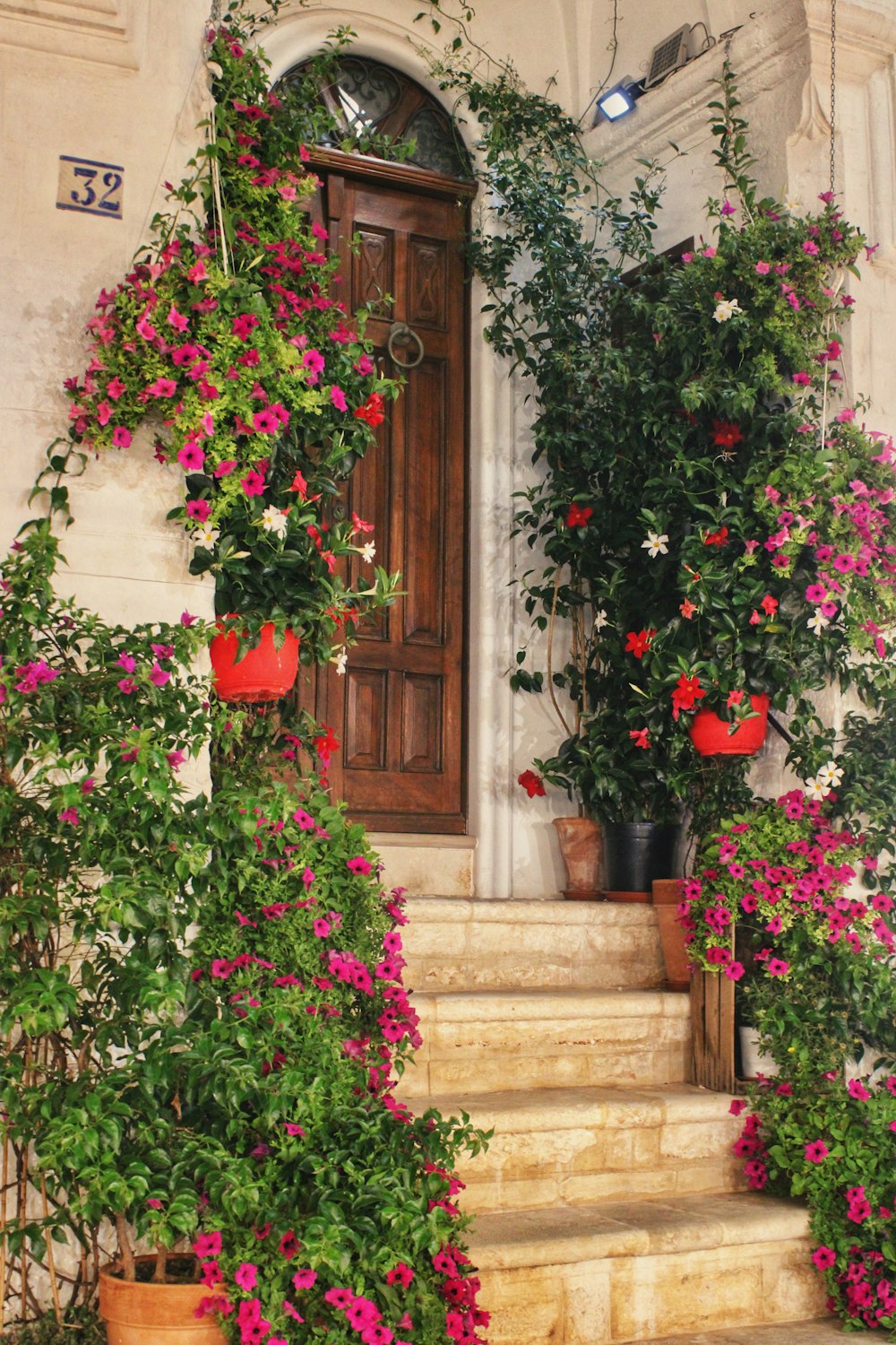 a bunch of flowers that are on some steps