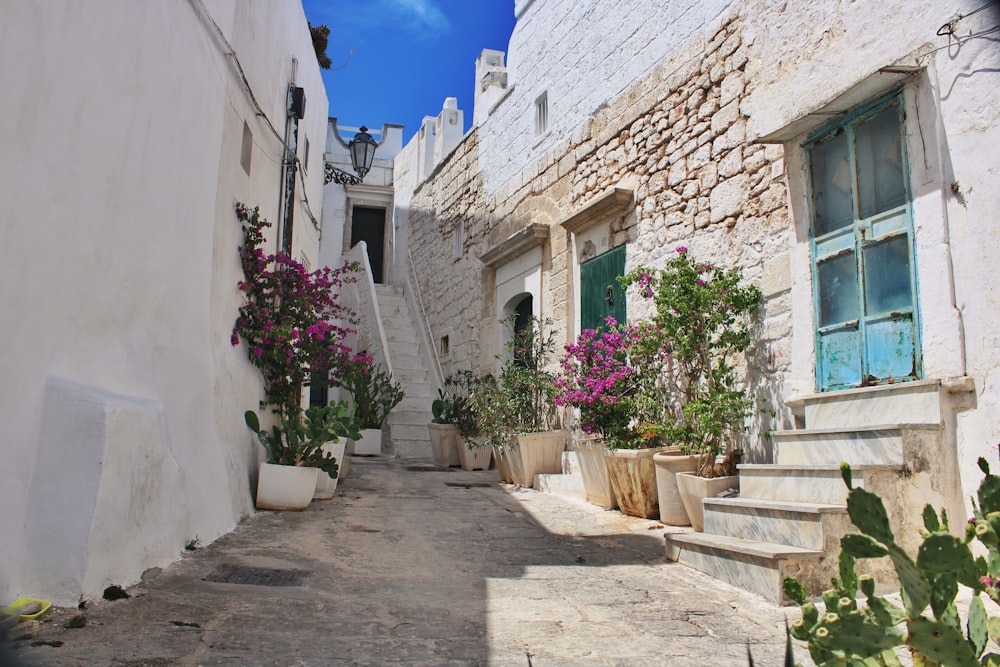 a narrow street with potted plants and a stone building