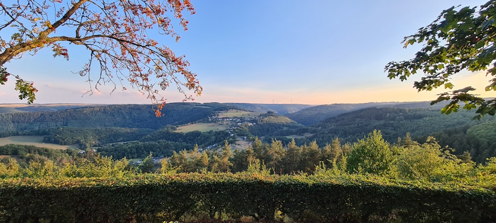 a view of a valley from a hill top