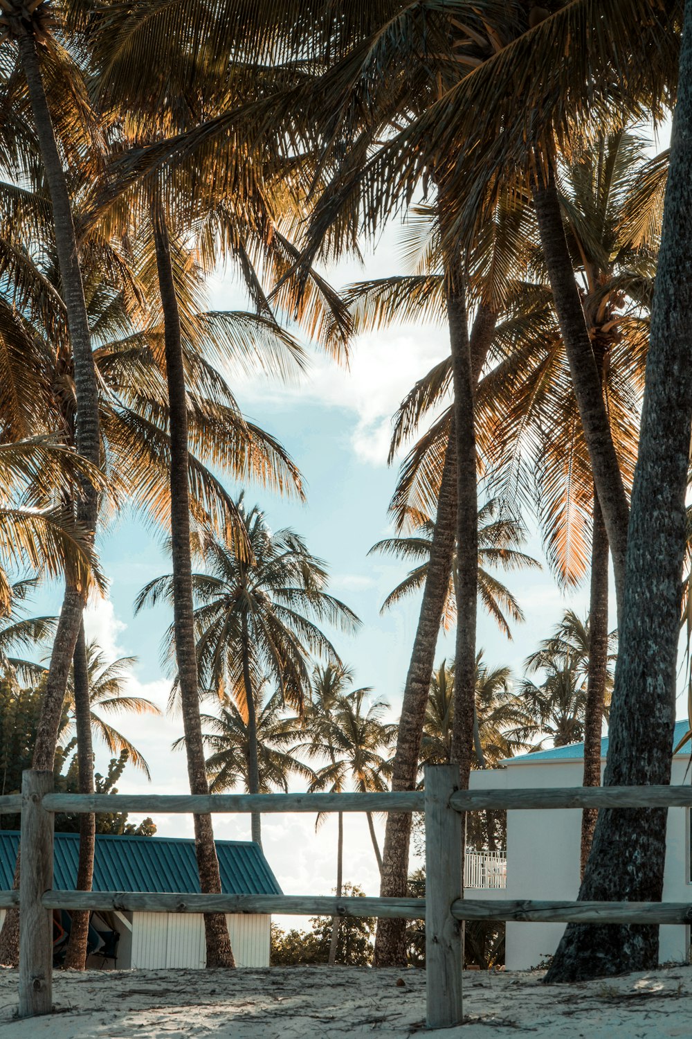 a white building surrounded by palm trees on a beach