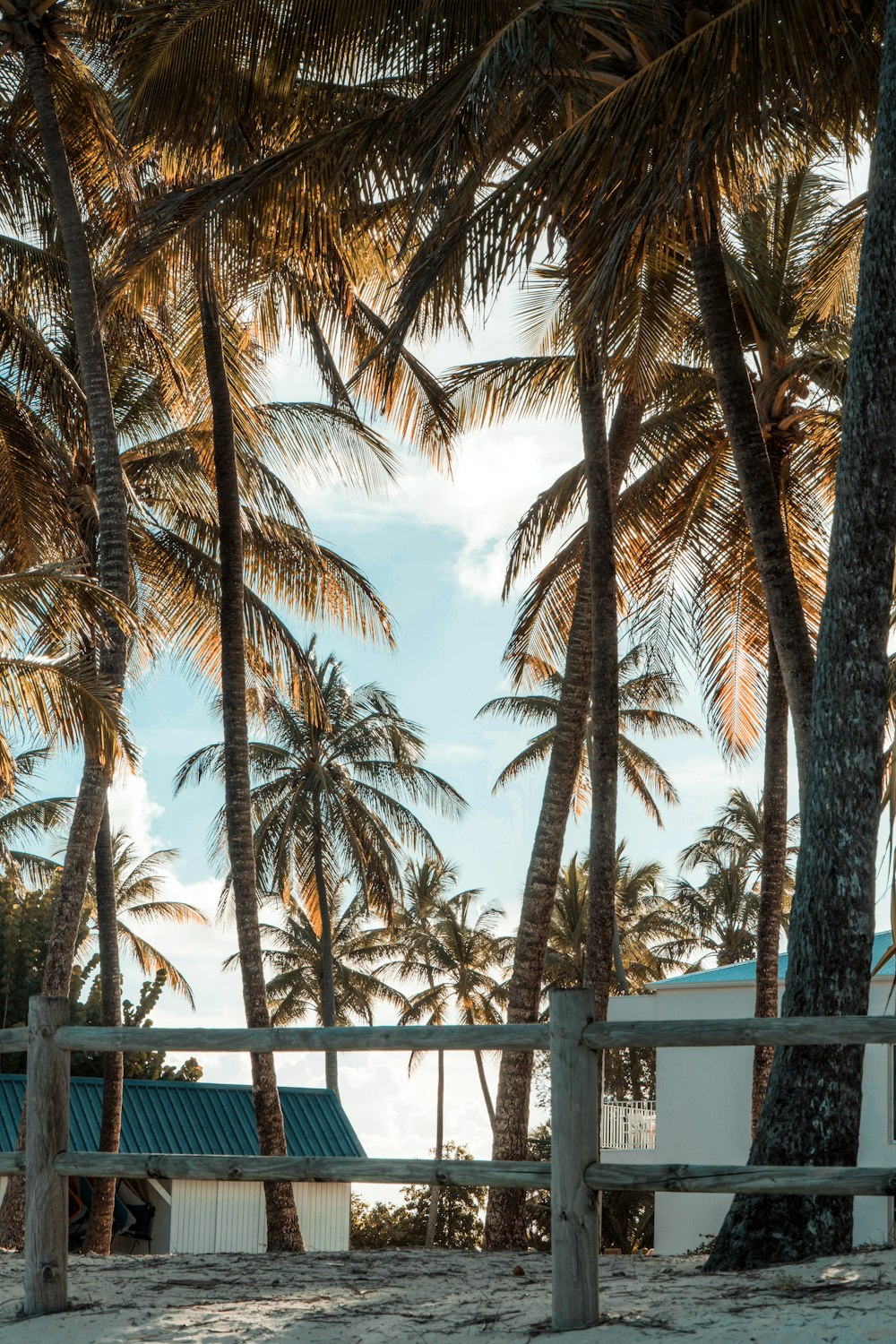 Un edificio blanco rodeado de palmeras en una playa