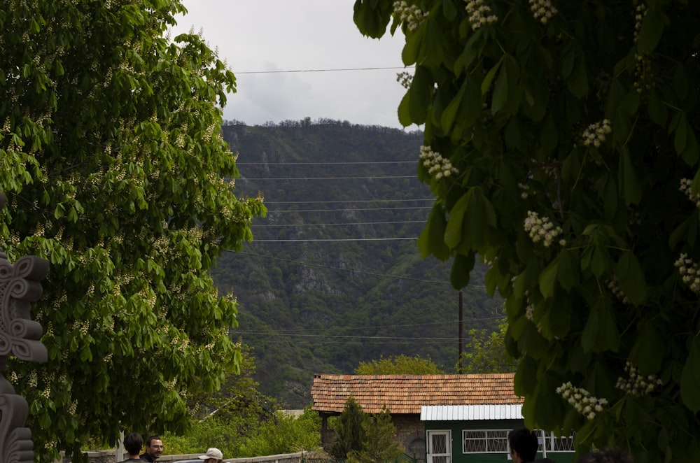 a group of people walking down a street next to a lush green hillside