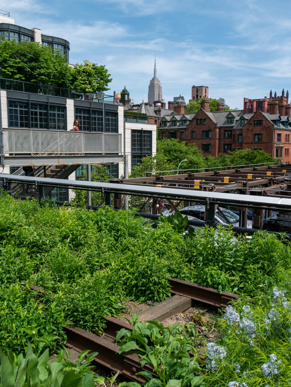 a train traveling through a lush green countryside