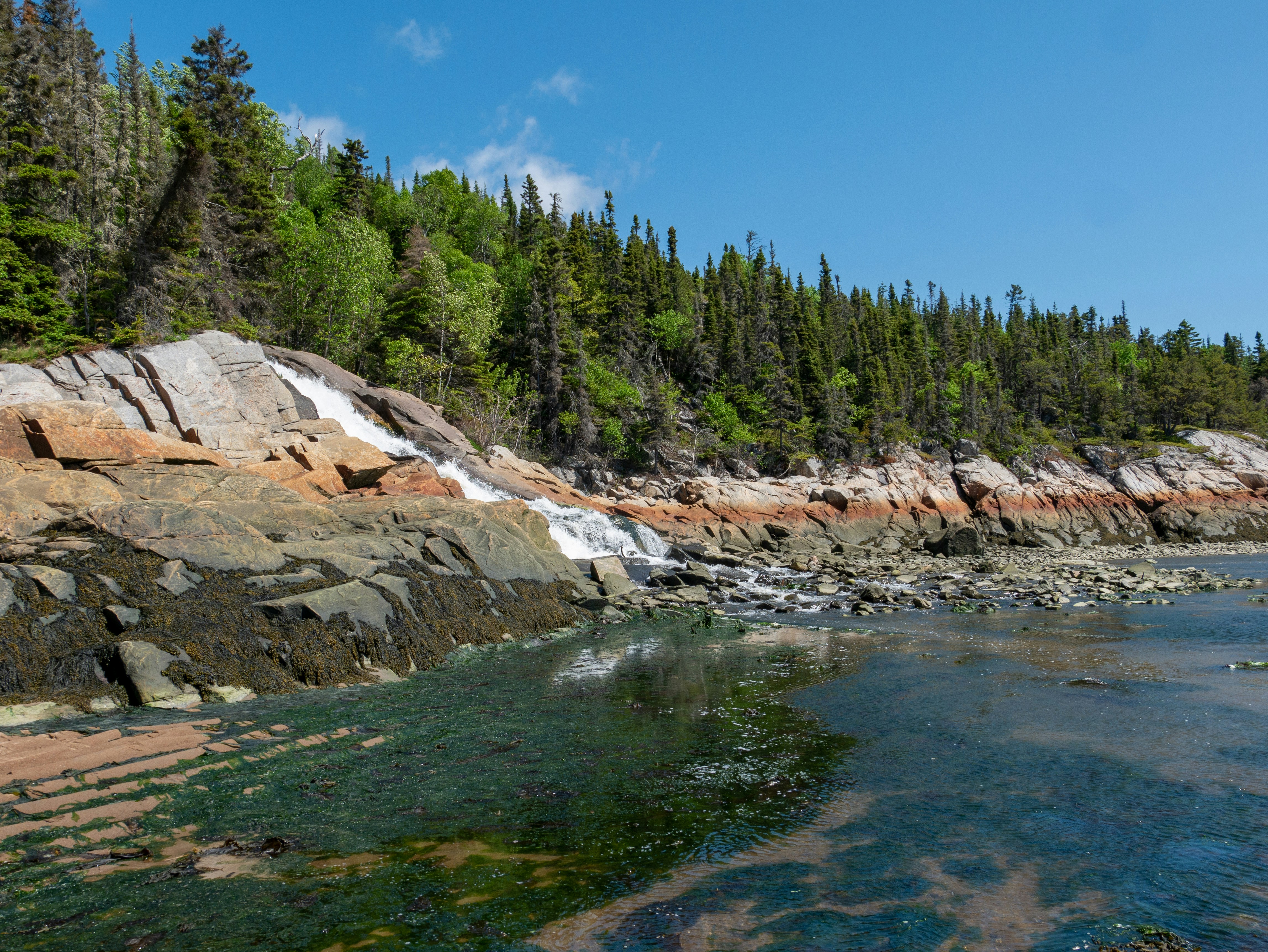 Tadoussac – Final Summary