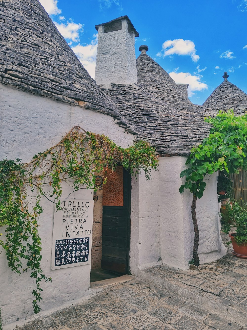 Sabores de Basilicata y Puglia — imagen 2