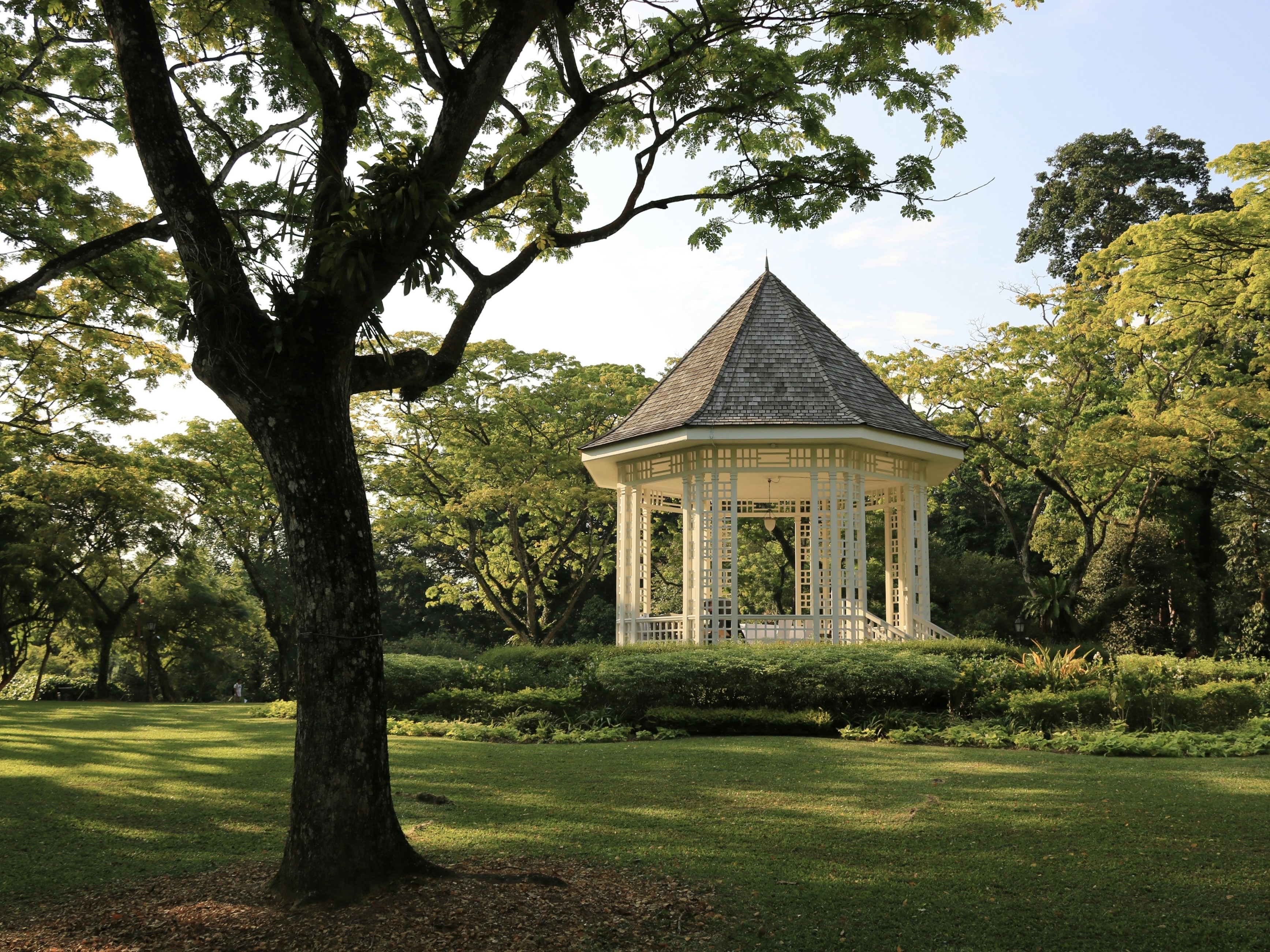 a white gazebo in a park surrounded by trees