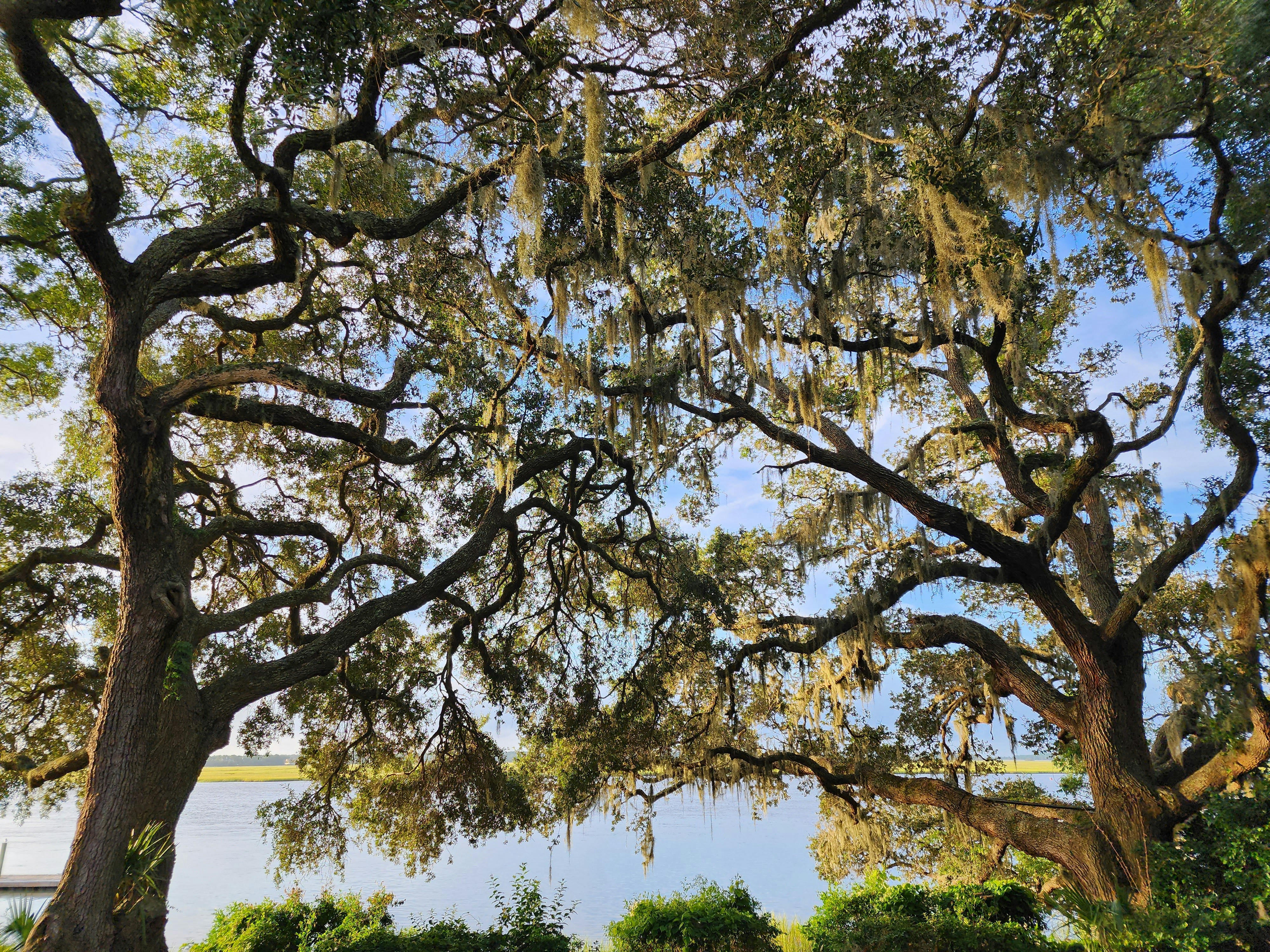 Photo by harindranvikram