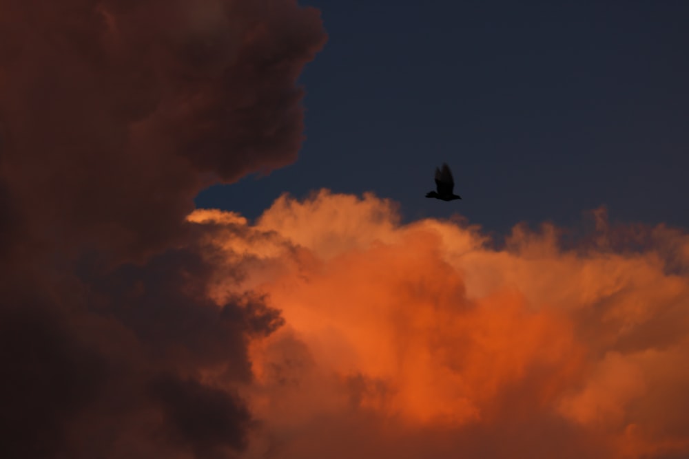 a bird flying through a cloudy sky at sunset