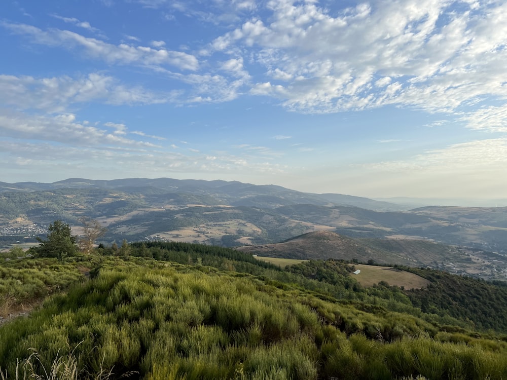 a view of a valley with mountains in the background