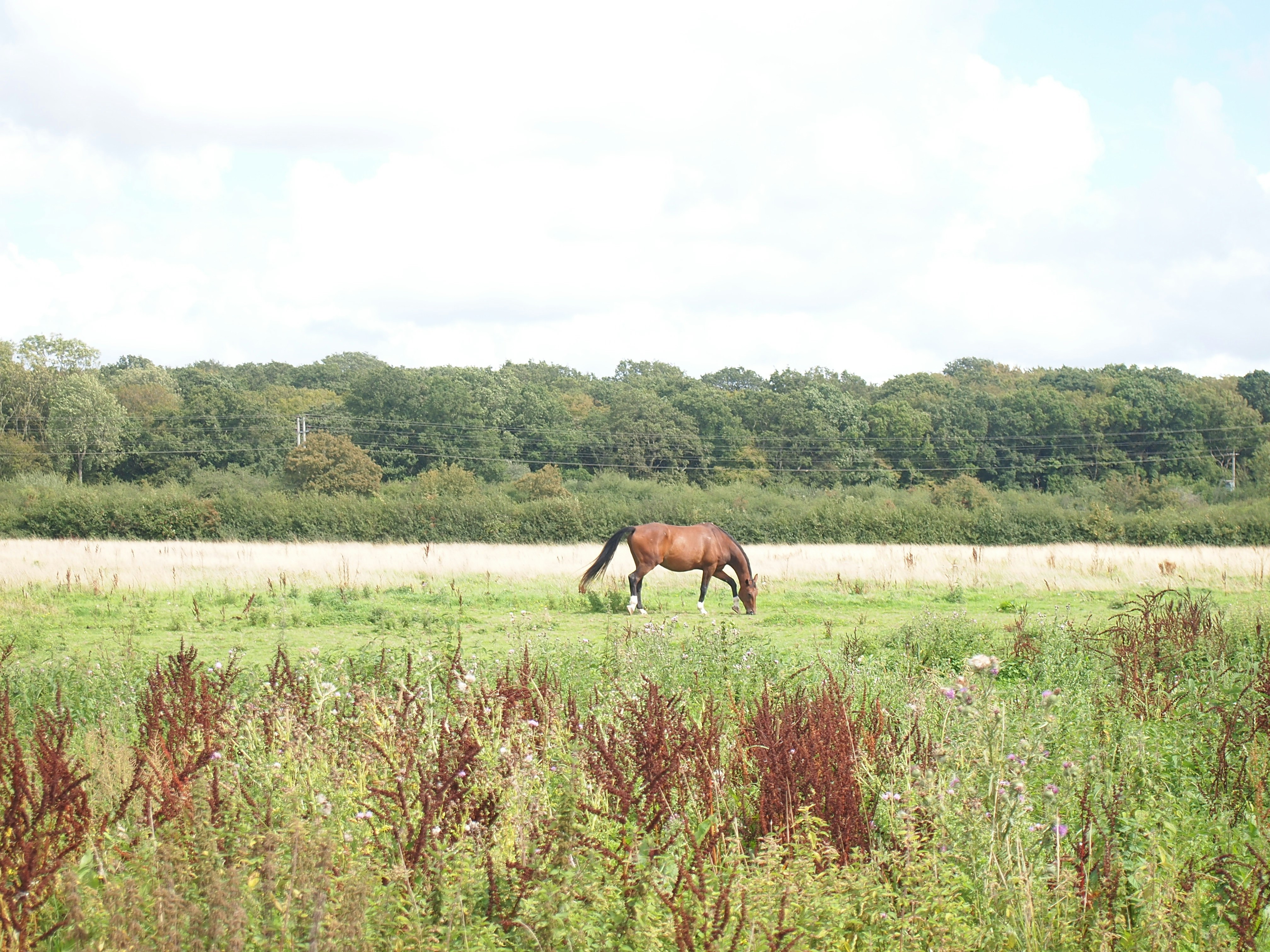 Photo by evalutionpics