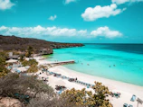 A vibrant beach club with turquoise waters and sun loungers under palm trees.
