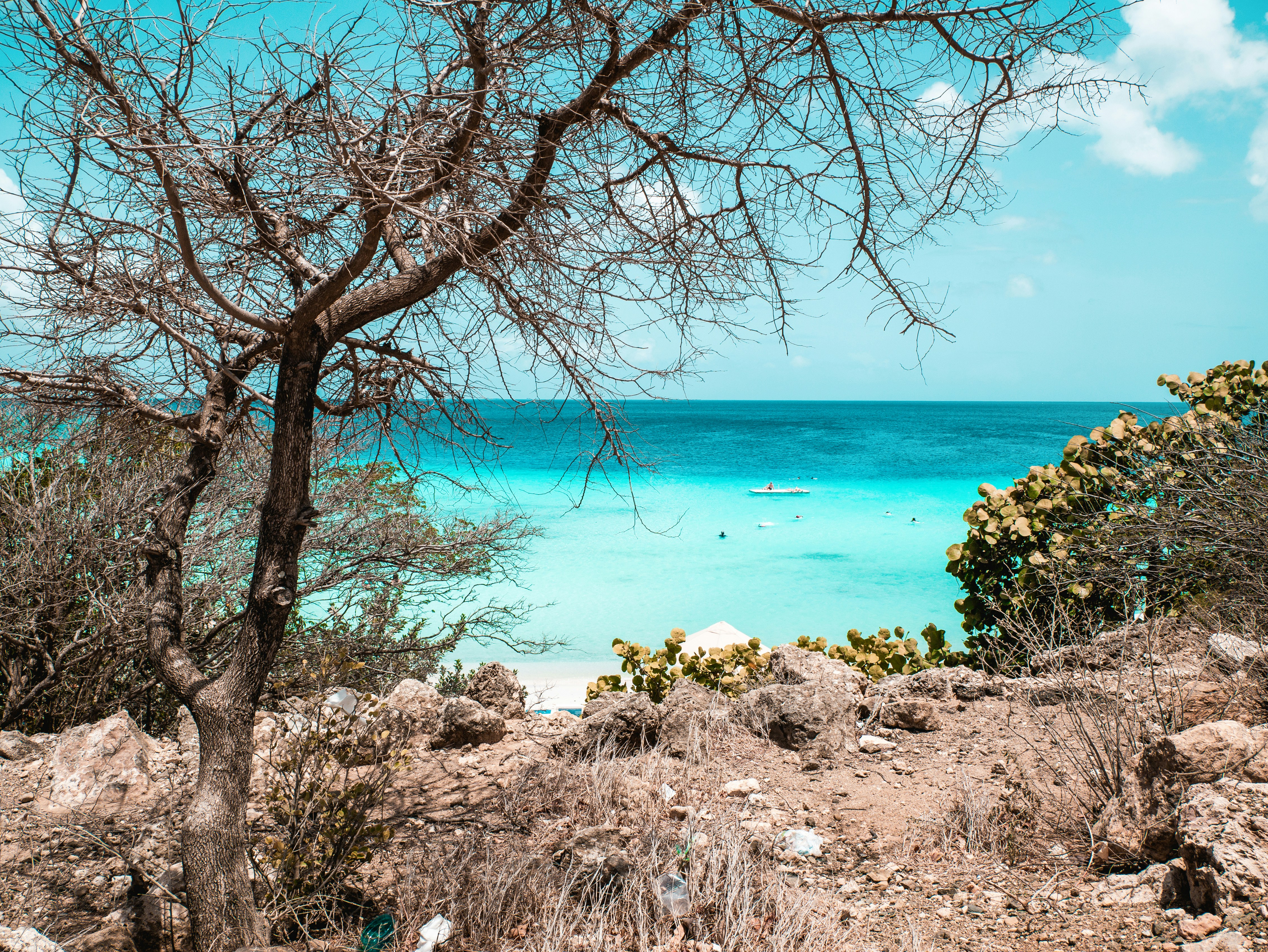 a view of the ocean from a cliff