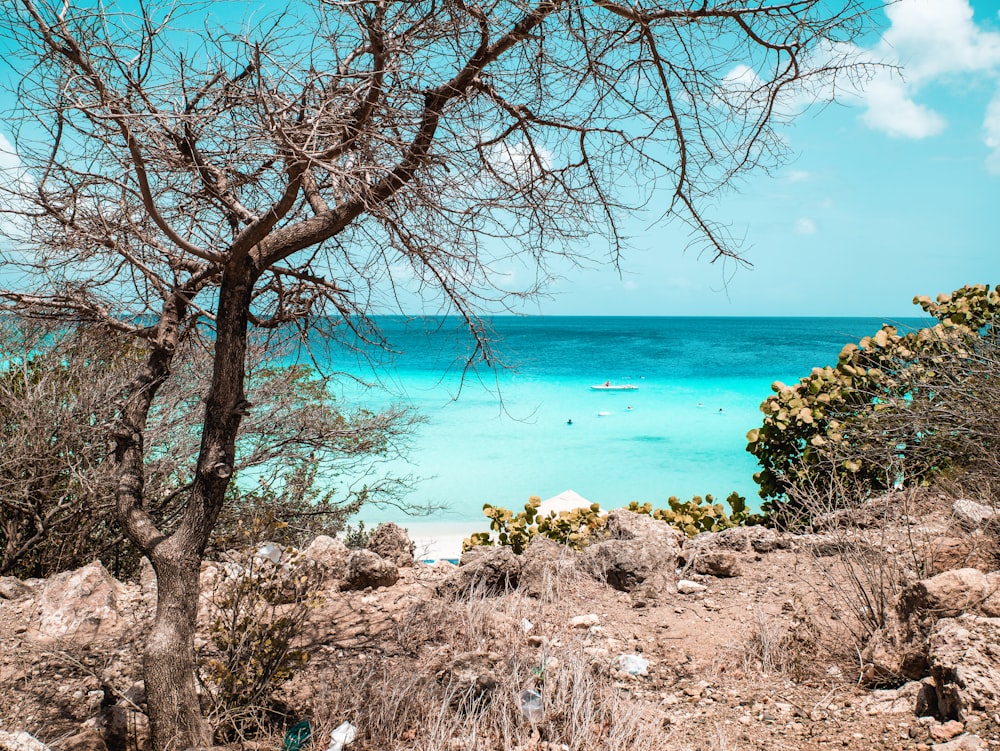 a view of the ocean from a cliff