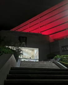 A hospital entrance is illuminated at night with red lighting that casts a dramatic glow on the building's facade. A flight of stairs leads up to the entrance, bordered by greenery, with a well-lit interior visible through the glass doors.