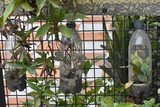Three vertically-cut plastic bottles are hanging on a metal grid, acting as planters for various green plants. The background includes some greenery and a tiled wall with a geometric pattern on top.