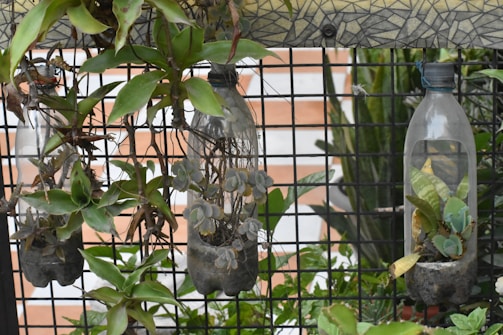 Three vertically-cut plastic bottles are hanging on a metal grid, acting as planters for various green plants. The background includes some greenery and a tiled wall with a geometric pattern on top.
