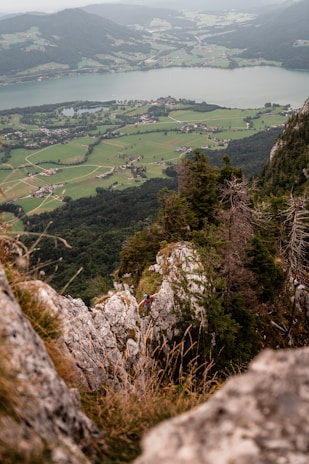 A scenic view of the Ozark mountains representing adventure and opportunity.
