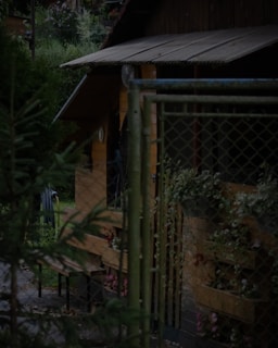 A rustic wooden cabin with a metal roof stands amidst greenery. There's a metal fence in the foreground partially covering the view of the cabin. Vegetation surrounds the cabin and a pathway is visible leading to or from it. Decorative plants are attached to the exterior walls of the cabin.