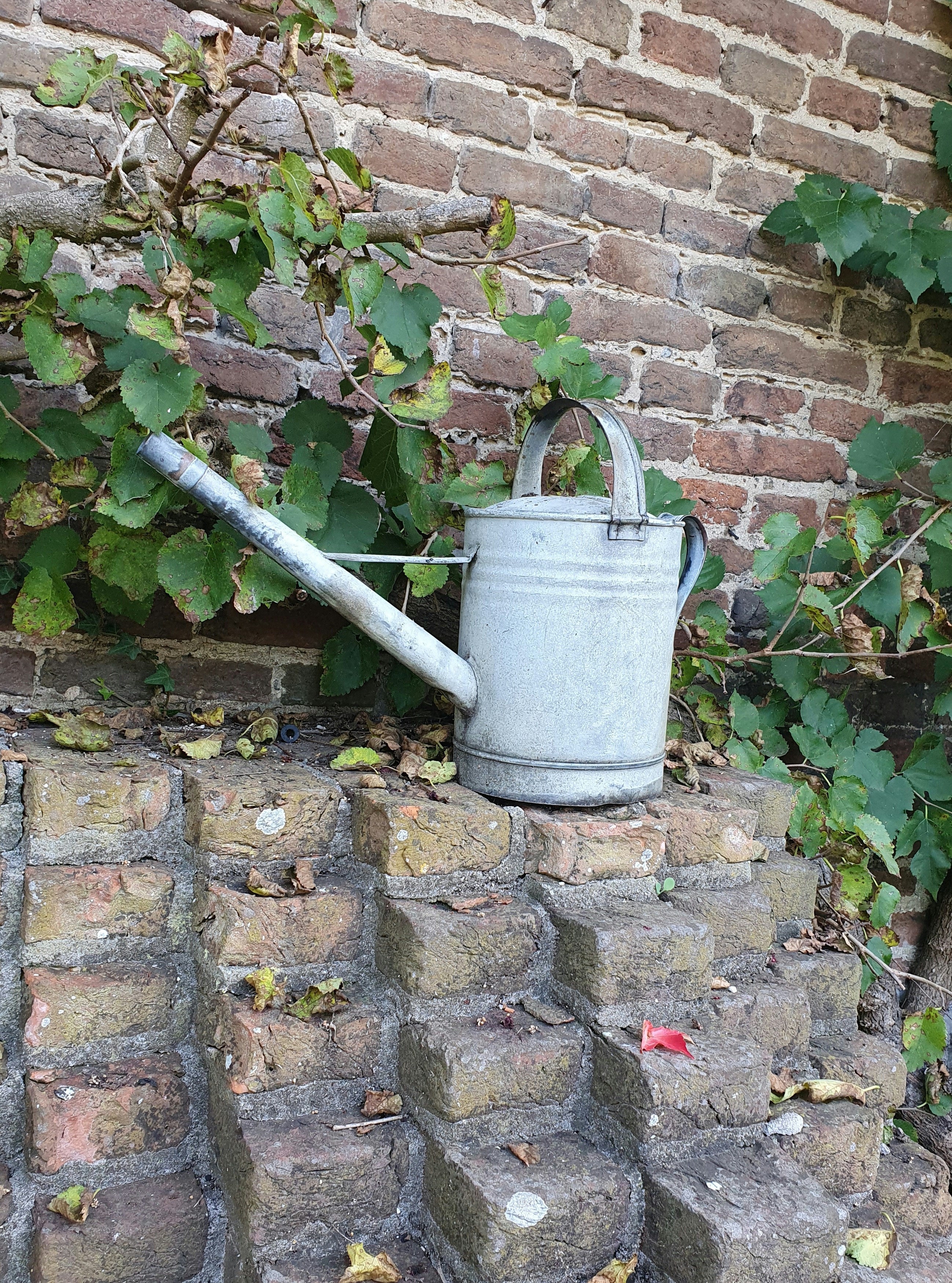 Classic Steel Watering Can