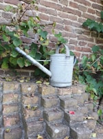 A metallic watering can is placed on top of a small brick structure. Behind it, there is a brick wall partially covered with green leafy vines. A few scattered dried leaves are on the bricks, suggesting an outdoor garden environment.