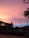 Towers with wind turbines stand silhouetted against a vibrant sunset sky, which transitions from warm pink and orange hues to cooler blue shades. The foreground features a bridge and lush trees, while a few leaves are visible at the top and right edges.