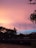Towers with wind turbines stand silhouetted against a vibrant sunset sky, which transitions from warm pink and orange hues to cooler blue shades. The foreground features a bridge and lush trees, while a few leaves are visible at the top and right edges.