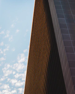 Modern building framework rising on a sunny day.