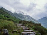 A peaceful mountain trail winding through dense Himalayan forests in early morning mist.