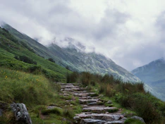 A peaceful mountain trail winding through dense Himalayan forests in early morning mist.