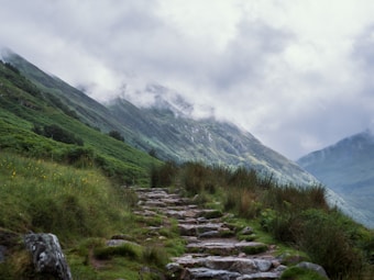 A serene mountain landscape with a rocky path leading up through lush green hillsides. Mist and clouds hang low over the distant peaks, creating a moody and tranquil atmosphere. Wildflowers peek through the grass along the trail, adding a touch of color to the scene.