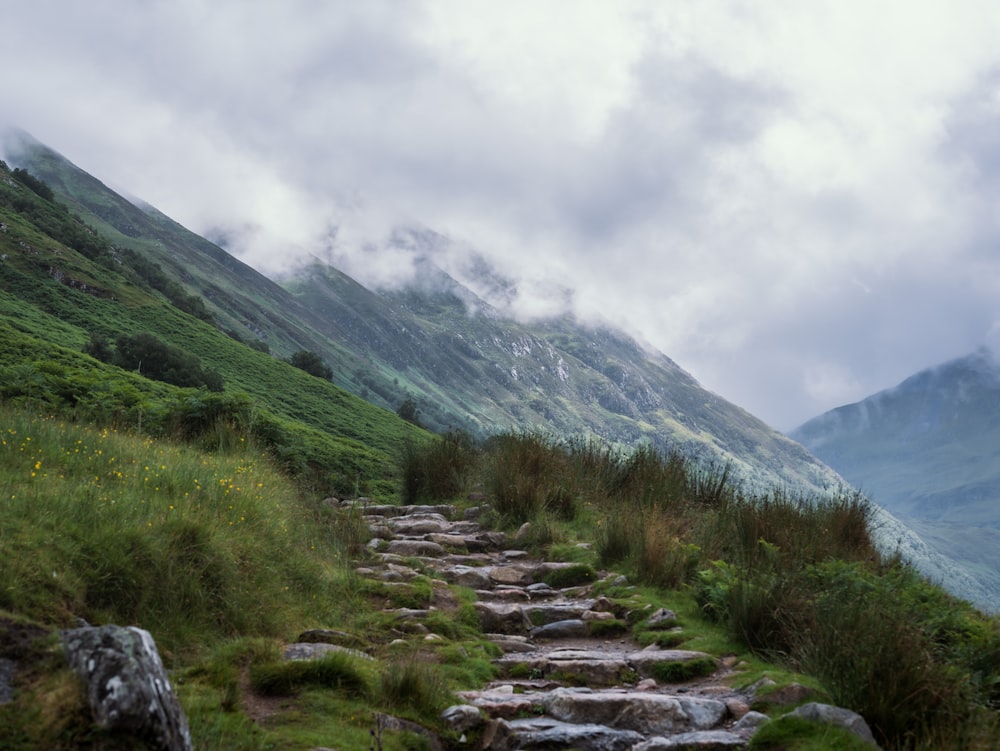 a rocky path in the mountains with grass and rocks
