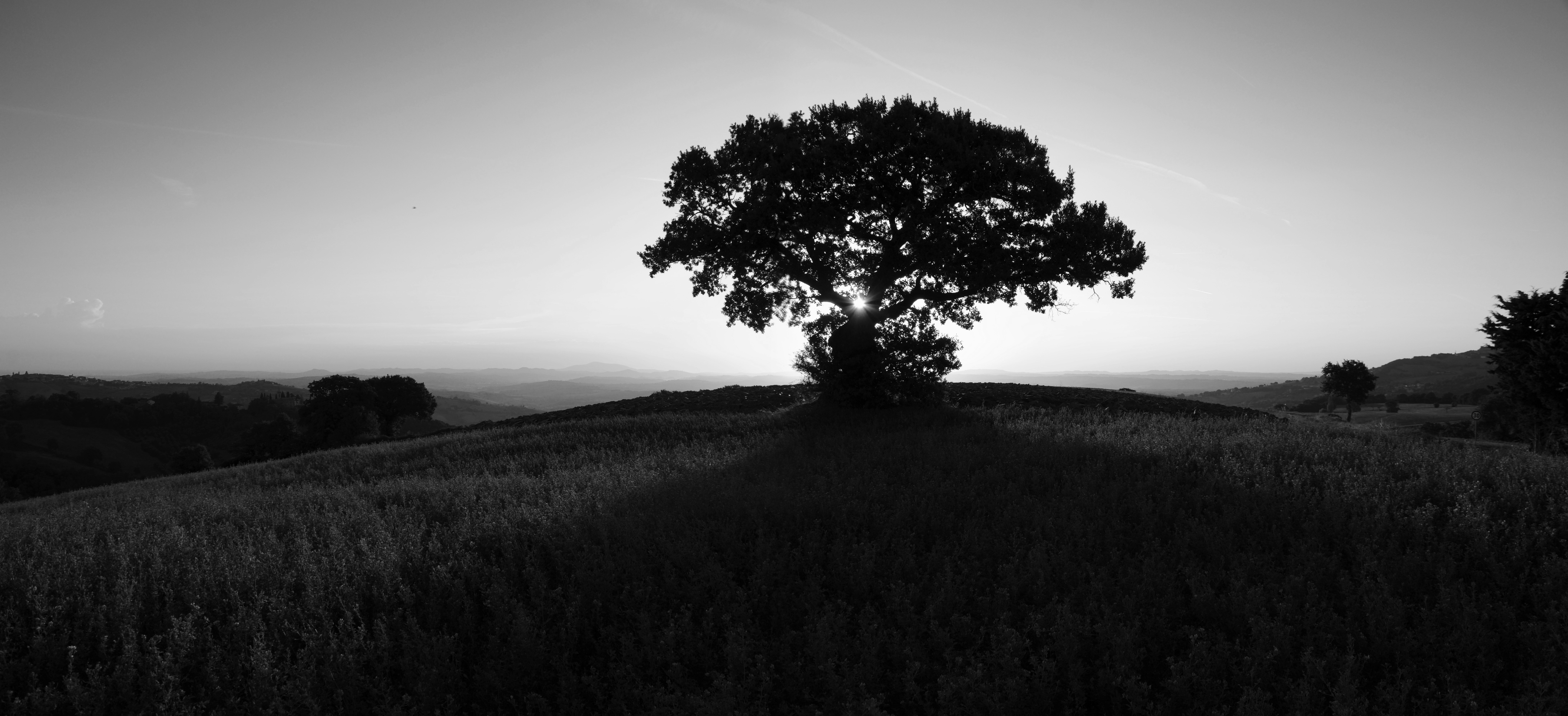 Photo by mariobeducci