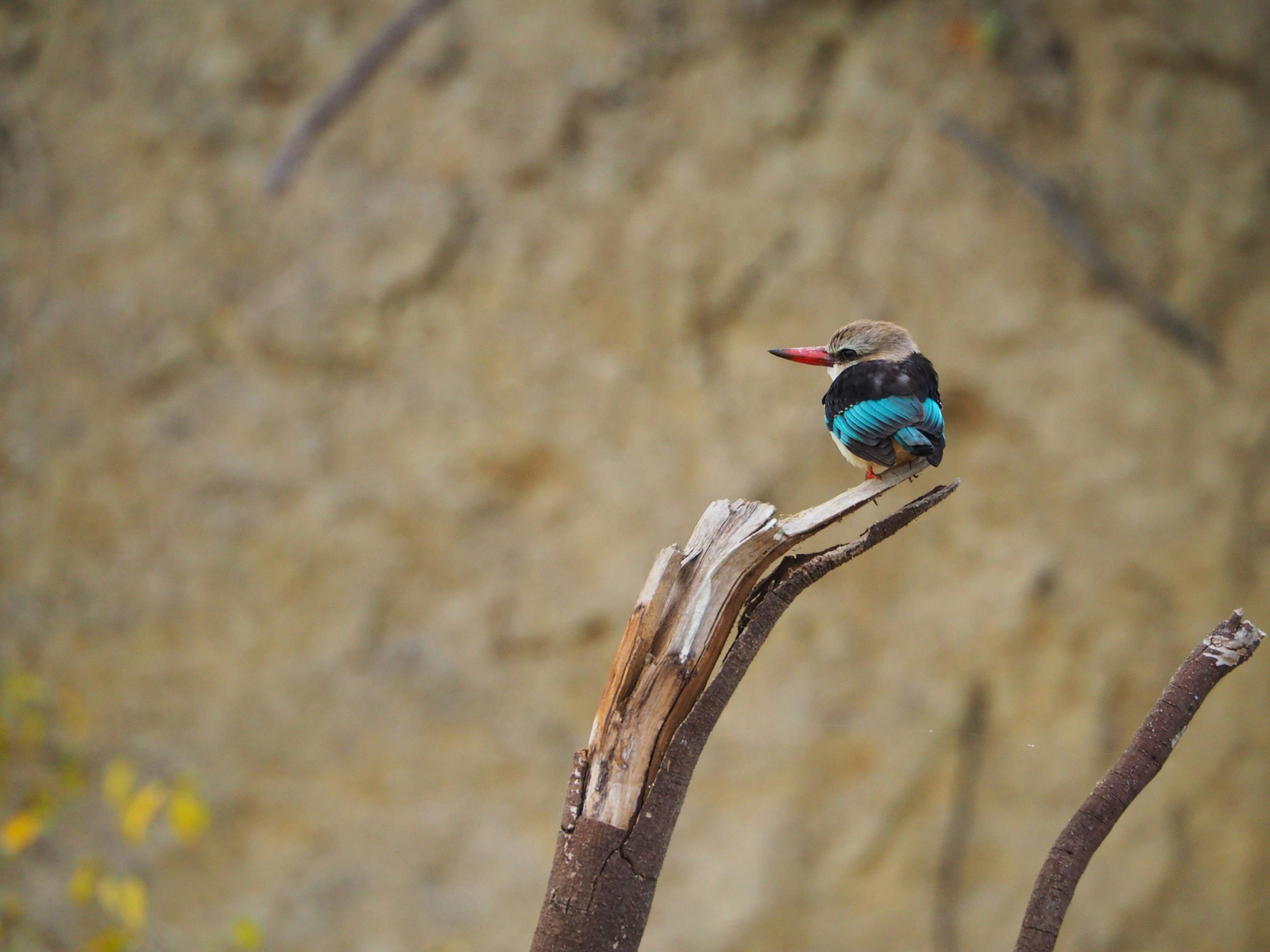 Photo by jatborkowska