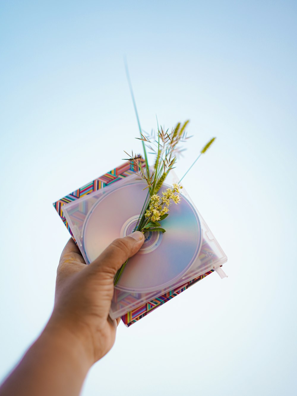 a person holding a cd with a flower in it