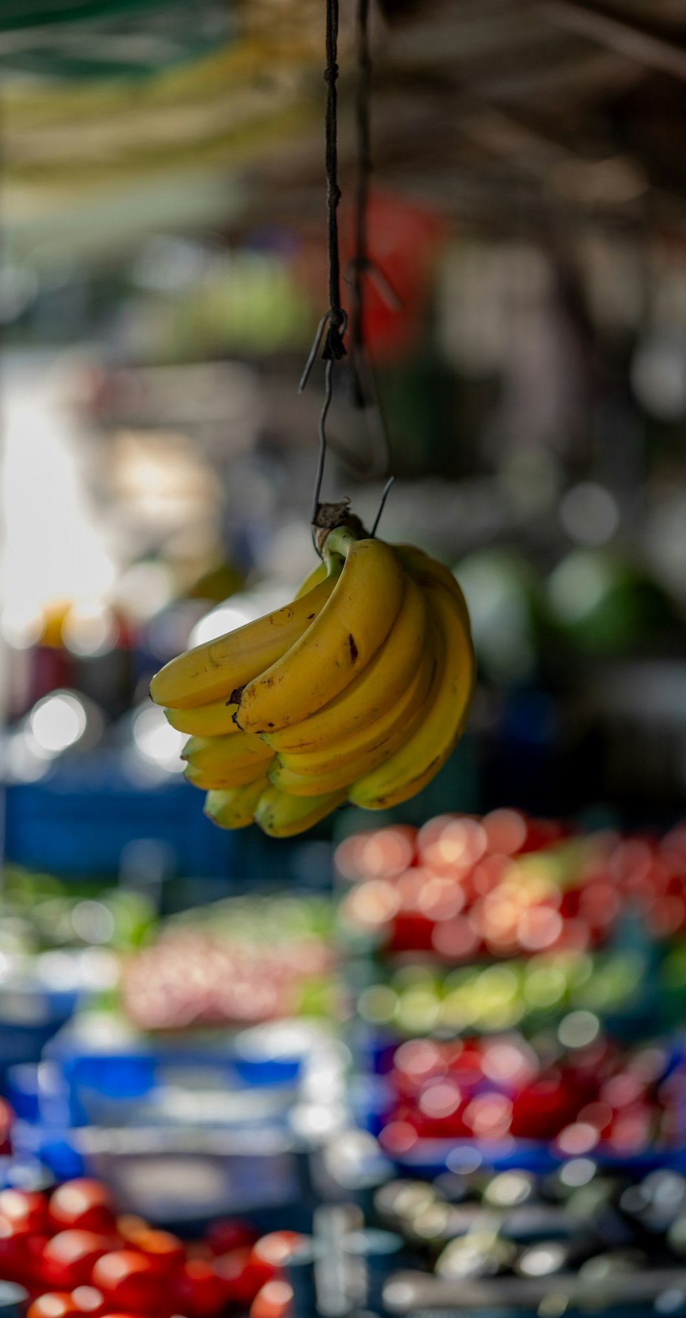a bunch of bananas hanging from a string
