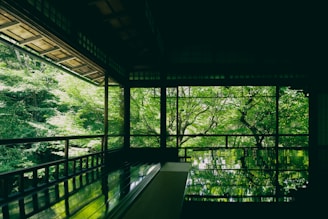 A serene room features large windows overlooking a lush green forest, with sunlight filtering through the leaves. The floor is highly polished, reflecting the vibrant greenery from outside, creating a tranquil and harmonious indoor-outdoor connection.