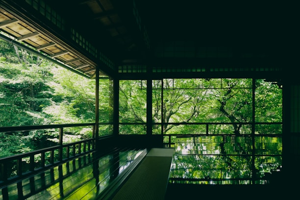 A serene room features large windows overlooking a lush green forest, with sunlight filtering through the leaves. The floor is highly polished, reflecting the vibrant greenery from outside, creating a tranquil and harmonious indoor-outdoor connection.