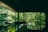 A serene hotel room featuring tropical decor and large windows overlooking lush greenery.