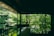A serene hotel room featuring tropical decor and large windows overlooking lush greenery.