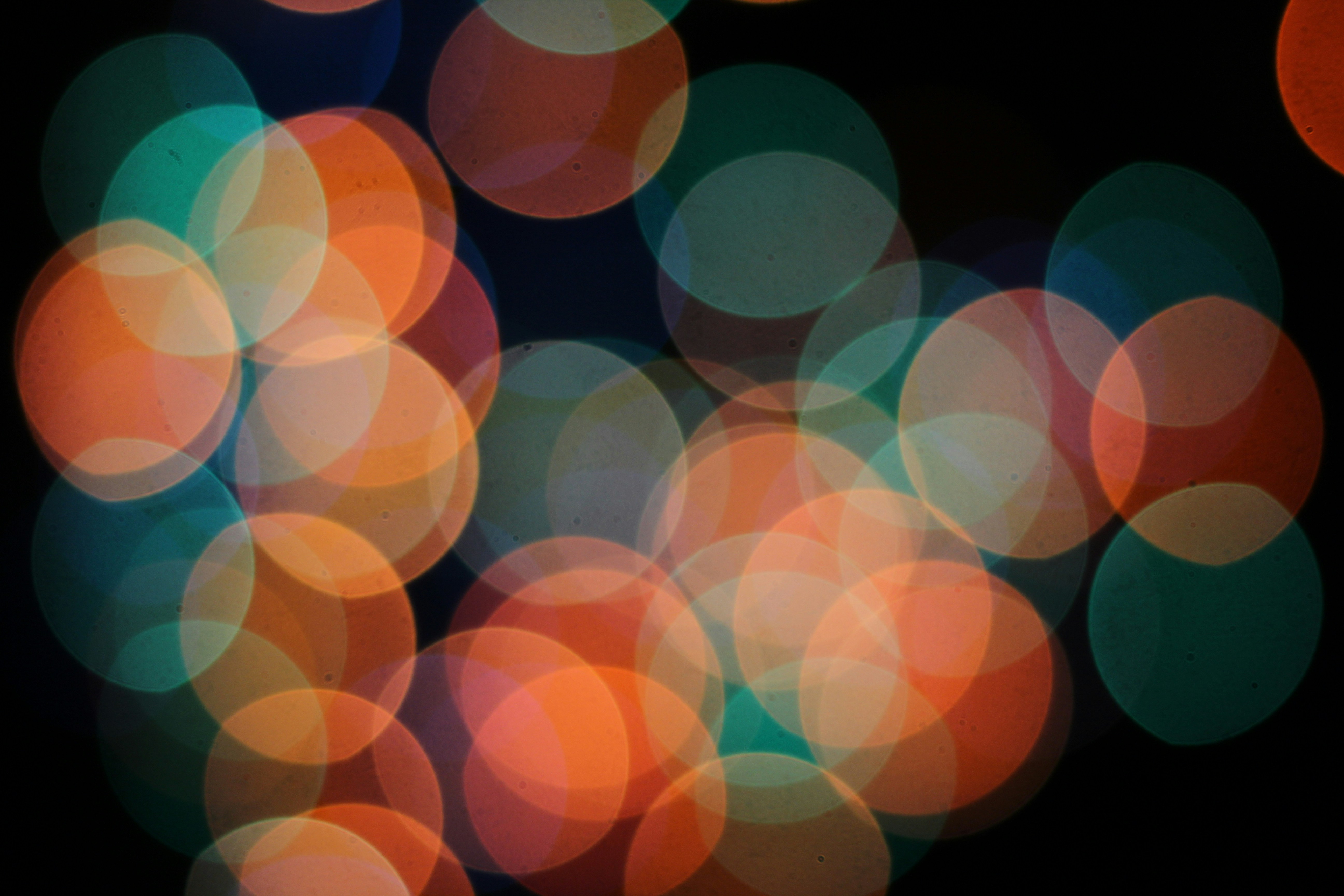 Photo by toushifalam