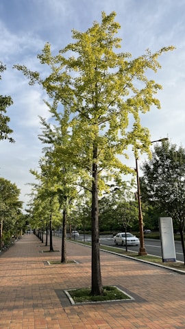Volunteers planting young trees along a city sidewalk under a clear sky.