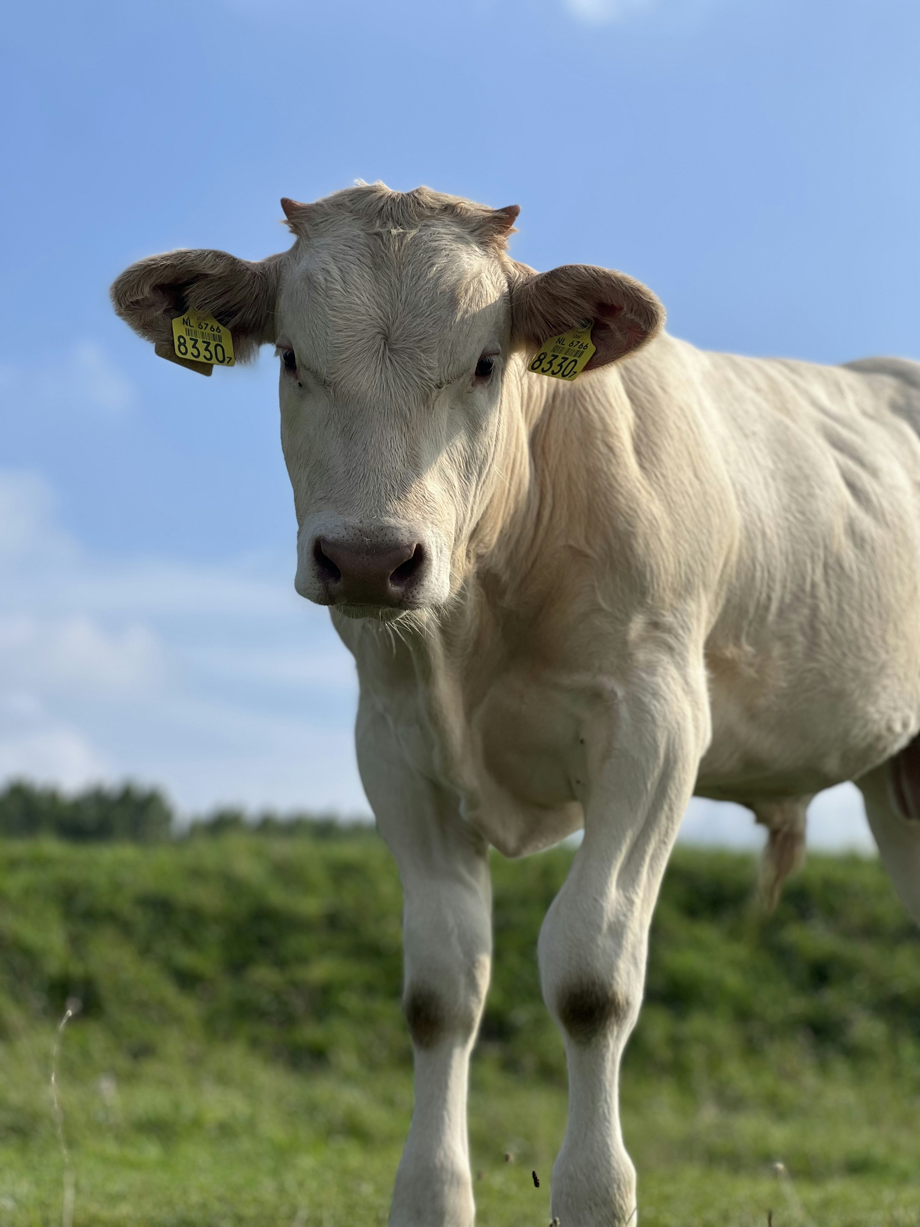 Photo by lvangroningen